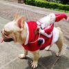 Santa Claus Dog Rider Costume