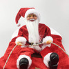 Santa Claus Dog Rider Costume