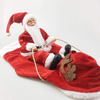 Santa Claus Dog Rider Costume