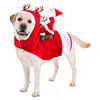 Santa Claus Dog Rider Costume