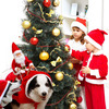 Santa Claus Dog Rider Costume