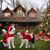 Santa Riding a Dog Costume