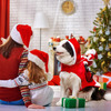 Santa Riding a Dog Costume