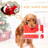 Santa Riding a Dog Costume