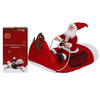 Santa Riding a Dog Costume