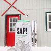 Sap! Organic Maple Seltzer Water