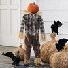 Scarecrow Pumpkin Stand