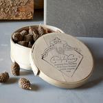 Scented Fire Starter Pinecones