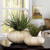 Sea Urchin Vases