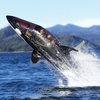 Seabreacher Y - Killer Whale Personal Submarine