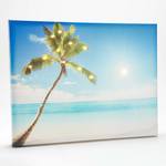 Seaside Palm Illuminated Outdoor Canvas Painting