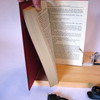 Secret Passageway Switch