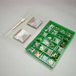 Seed Advent Calendar - Vegetables, Herbs, Flowers, and a Greenhouse