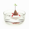 Seed Guard - Avocado Seed Growing Life Preserver