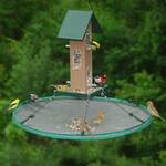 Seed Hoop - Bird Feeder Seed Catcher