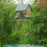 Seed Hoop - Bird Feeder Seed Catcher