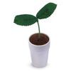 Sega Pekoppa Robot Plant