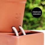 Self-Care Planter