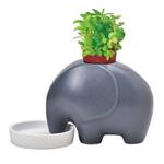 Self-Watering Elephant Planters with Trunks That Wick Up Water