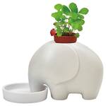 Self-Watering Elephant Planters with Trunks That Wick Up Water