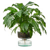 Self-Watering Glass Planter