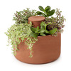 Self-Watering Herb and Succulent Planter