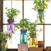 Self-Watering Mason Jar Indoor Herb Garden