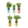 Self-Watering Mason Jar Indoor Herb Garden
