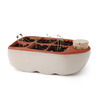 Self-Watering Seedling Starter