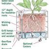 Self-Watering Teak Planters - Built to Last a Lifetime