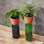 Self-Watering Wine Bottle Planter