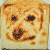 Selfie Toaster