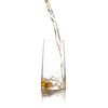 Sempli Monti-Taste - Set of Four Modern Beer Tasting Glasses