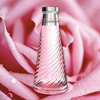 Sence - Rare European Rose Nectar