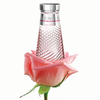Sence - Rare European Rose Nectar