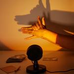 Shadow Game - Test Your Shadow Puppet Making Skills