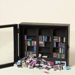 Shake-a-Bookshelf Stress Reliever