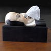 Shakespeare Tissue Box Cover