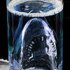Shark Attack Glass Beer Mug