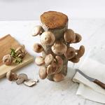 Shiitake Mushroom Log