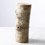 Shiitake Mushroom Log