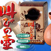 Shouting Vase - Absorbs Your SCREAMS and SHOUTS!