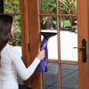 Sienna Visio - Window Steam Cleaner