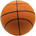 Silent Hoops Basketball - Dribble Indoors Without Sound!