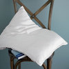 Silk-Filled Pillow