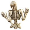 Sinister Climbing Skeleton Wall Sculpture