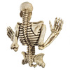 Sinister Climbing Skeleton Wall Sculpture