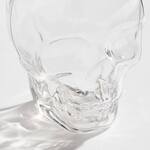 Skull Tumbler Glasses