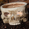 Skull Votive Candle Holder