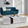 Sleek Modern Coffee Table with Hidden Storage